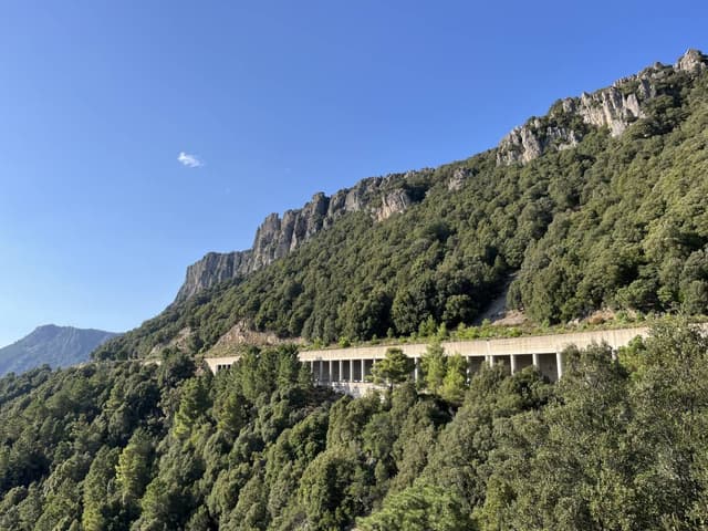 Photo 6 by Jana Z. (7/20/24)