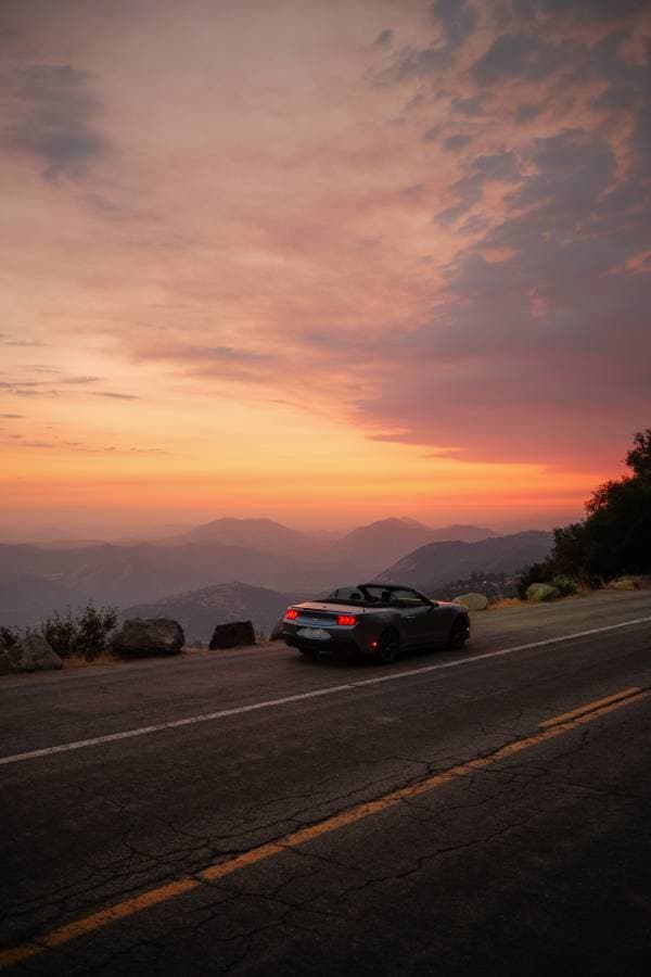 Photo 2 by Maciej D. (9/2/25)