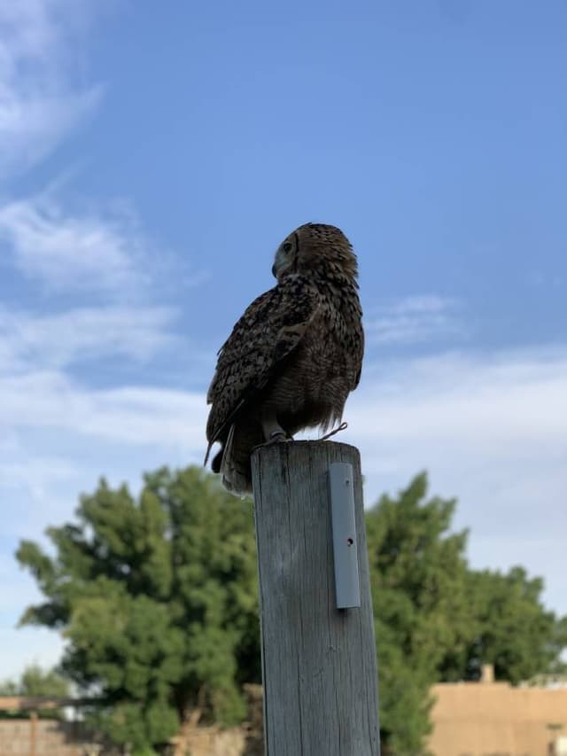 Photo by Aqeel A. (1/31/24)