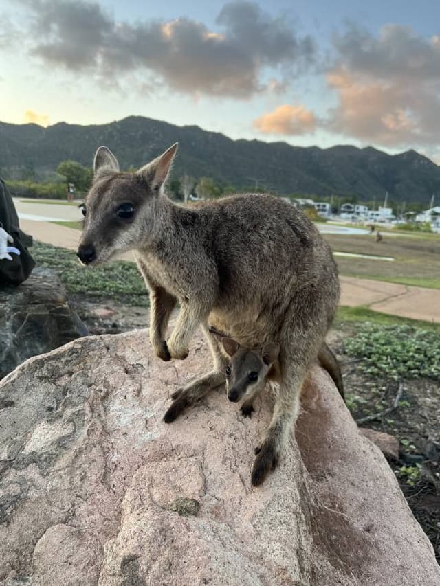 Photo 7 by Thomas P. (12/4/24)