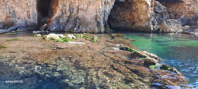 Photo 4 by Cozmolici D. (6/15/24)