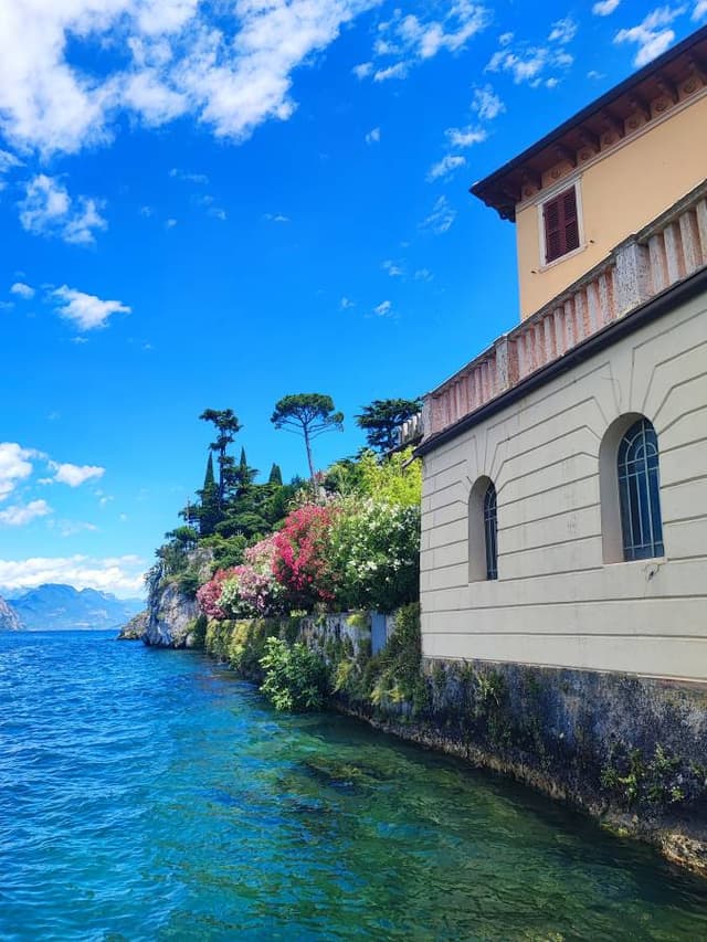 Photo 8 by Agne V. (7/8/24)