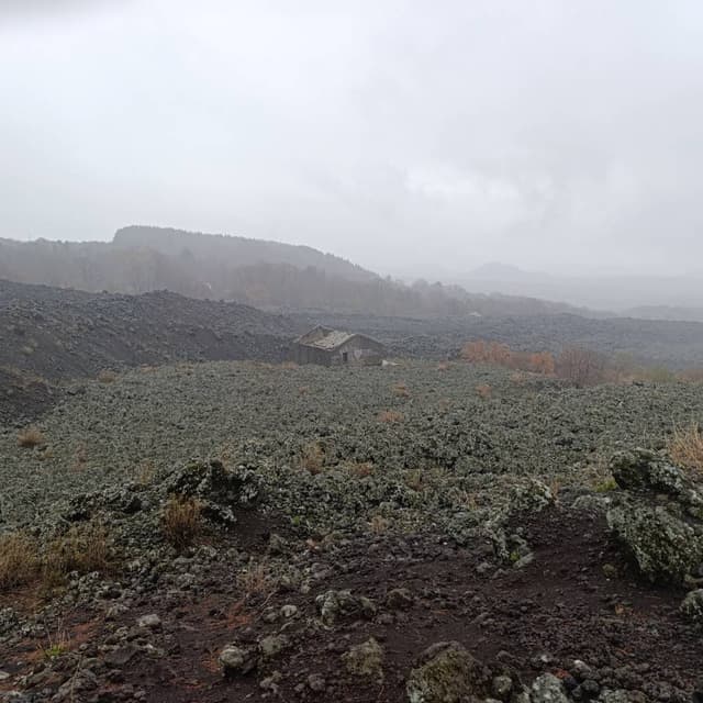 Photo 6 by Peter P. (3/26/26)