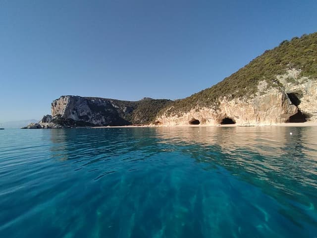 Photo 5 by Cristian B. (7/16/24)