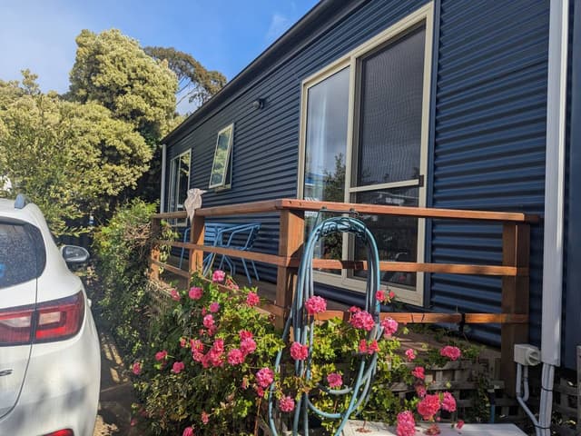 Photo 3 by Bruce D. (12/15/25)