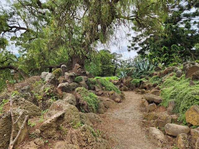 Photo 6 by Teng Hong T. (12/17/23)