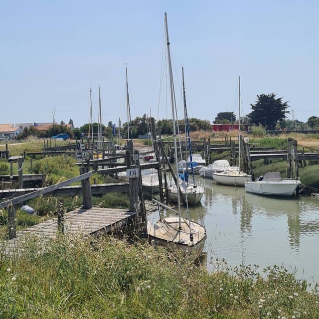 Photo 5 by James R. (7/31/24)