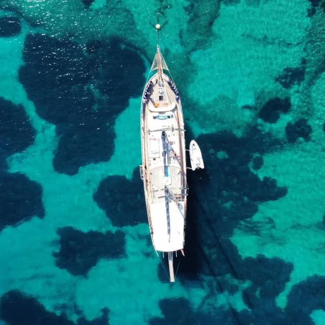 Photo 5 by Eric V. (12/16/23)