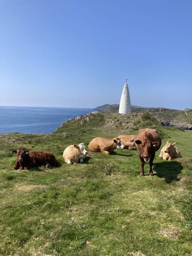 Photo by Richard D. (5/14/25)