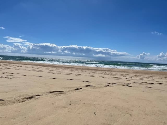 Photo 4 by Petr H. (6/30/24)