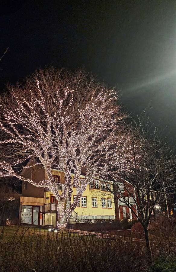 Photo 15 by Brian S. (12/15/25)