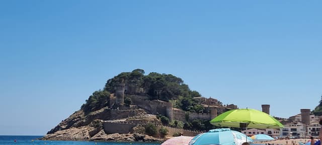 Photo 7 by Huw Eurwyn H. (7/20/24)