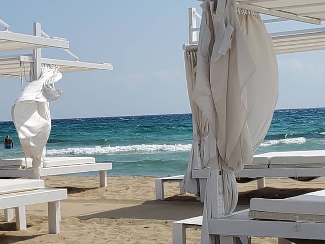 Photo 5 by Tracey B. (7/21/25)