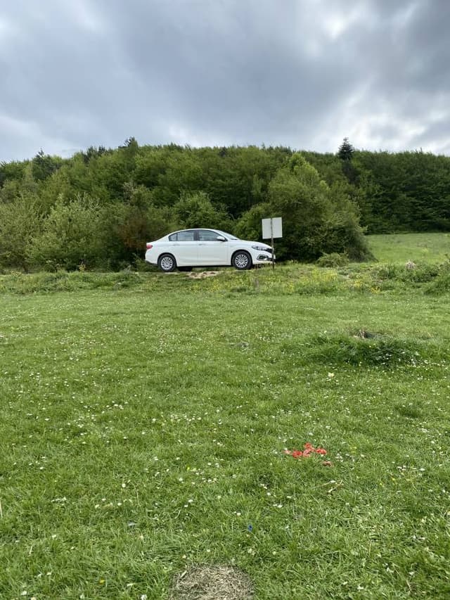 Photo by Abdulrahman A. (5/21/25)