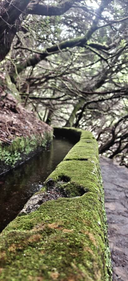 Photo 2 by Oleksandr V. (12/7/25)