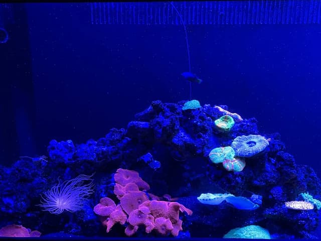 Photo 6 by Peminda J. (12/2/23)