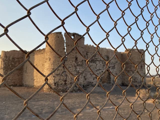 Photo 3 by Anthony P. (11/26/23)