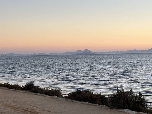 Photo 3 by Wayne F. (2/9/24)