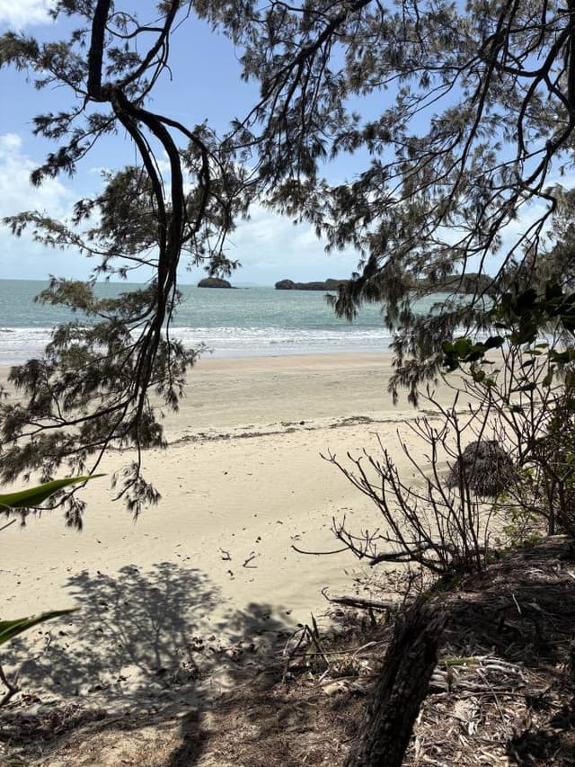 Photo 6 by Petrus V. (10/15/25)