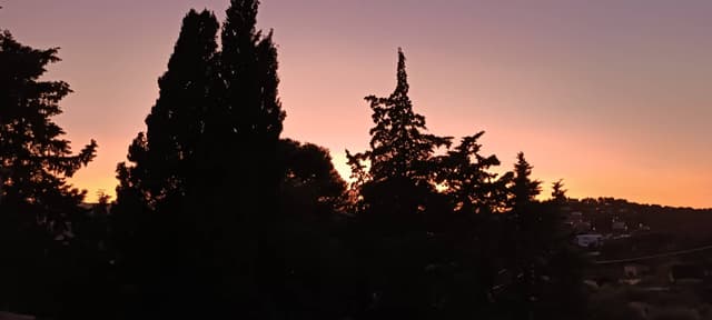 Photo 2 by Celia M. (6/19/25)