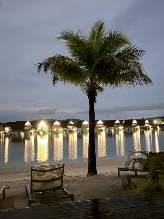 Photo 4 by Rachael P. (2/24/25)