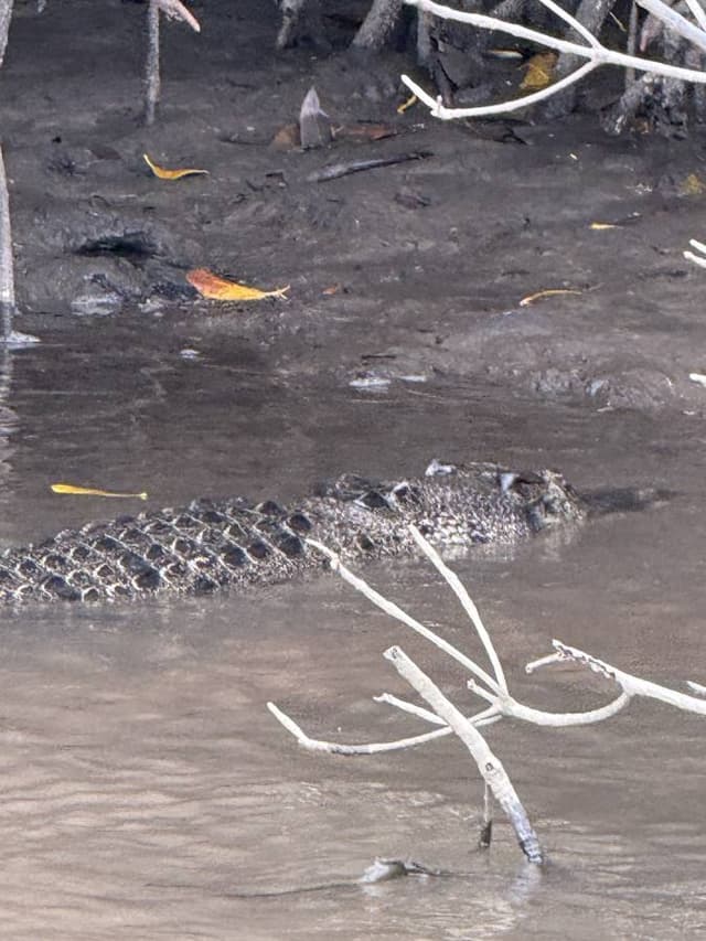 Photo by Peter H. (3/17/26)