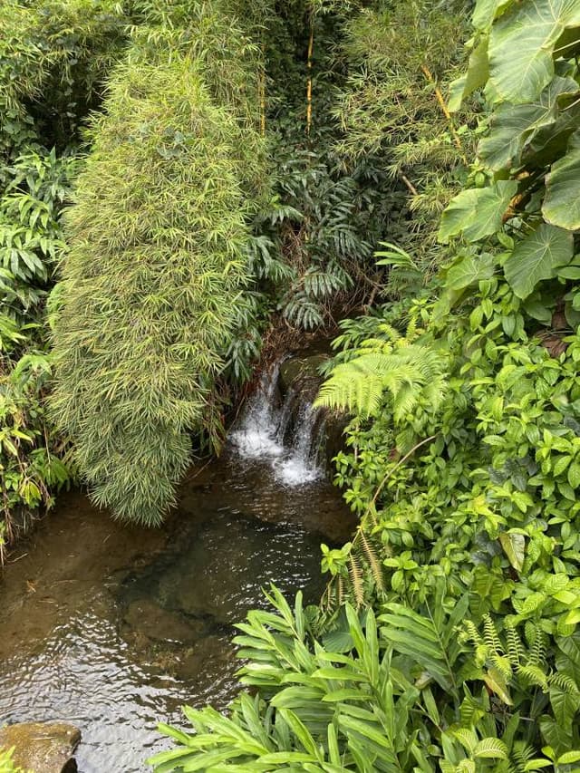 Photo 4 by John S. (3/28/25)