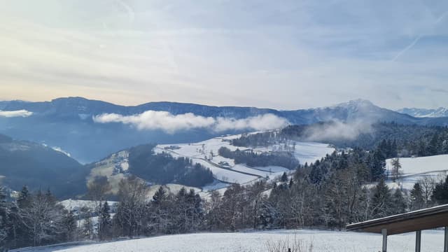 Photo 2 by Iulian M. (1/5/24)