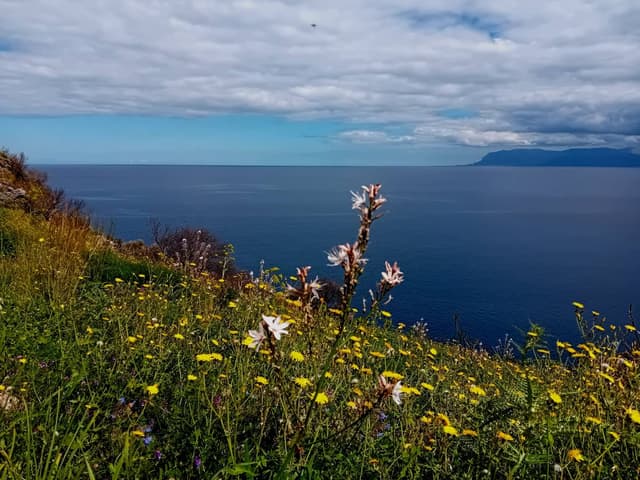 Photo 1 by franco C. (3/19/26)