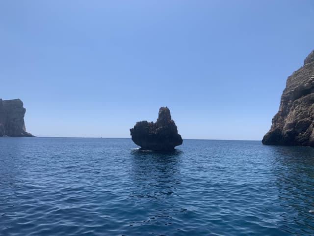 Photo by Gheorghe M. (8/9/24)