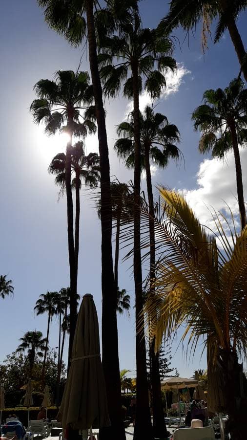 Photo 1 by Paul C. (2/11/25)