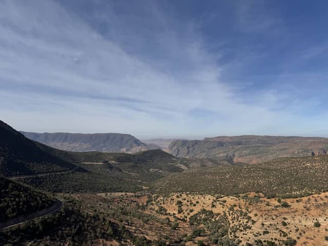 Photo by Steffan P. (12/10/24)