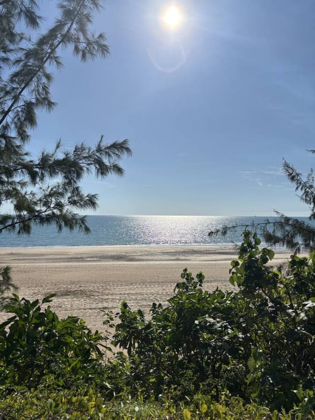 Photo 5 by Craig H. (7/13/25)