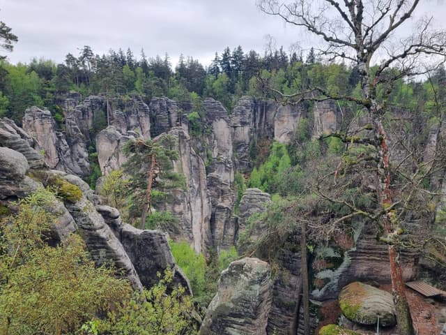 Photo 4 by Sagi A. (4/15/24)