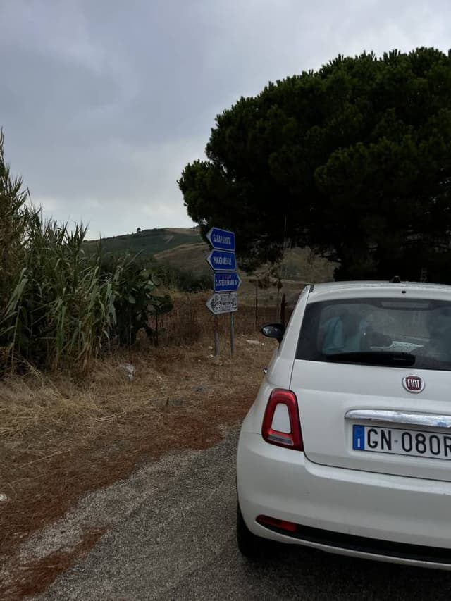 Photo 3 by Martina H. (8/21/25)