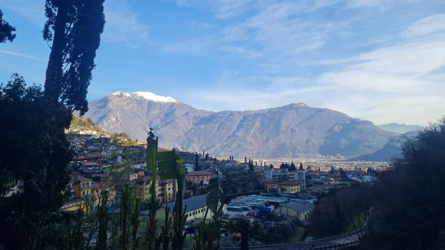 Photo 3 by Iulian M. (1/5/24)