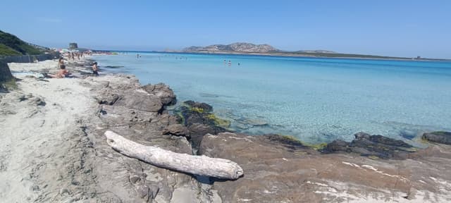 Photo 6 by Giorgio L. (5/27/25)