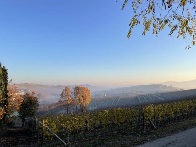 Photo 4 by Tymofii S. (2/2/25)