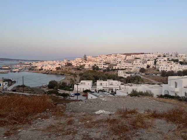 Photo 2 by Darryn F. (8/27/24)