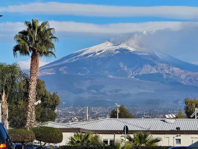 Photo 2 by DonnaMarie G. (12/1/25)