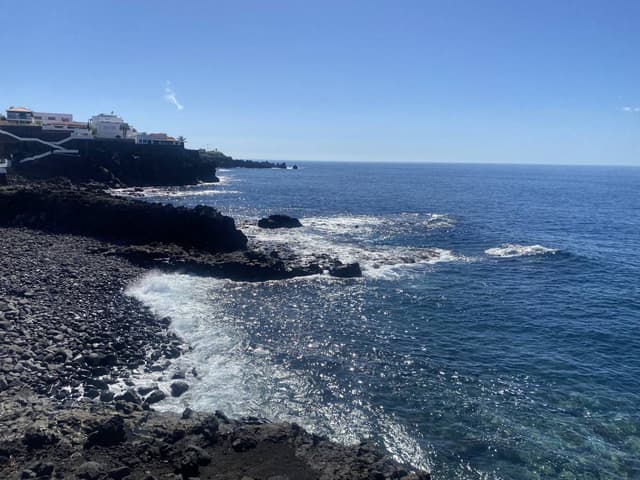 Photo 6 by Roger M. (11/12/24)