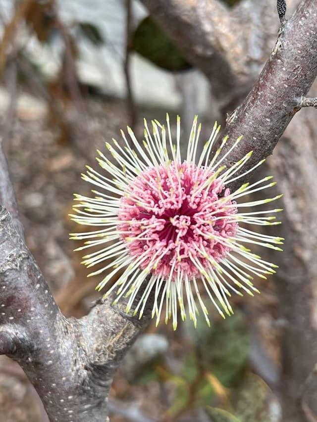 Photo 7 by Dan C. (6/19/24)