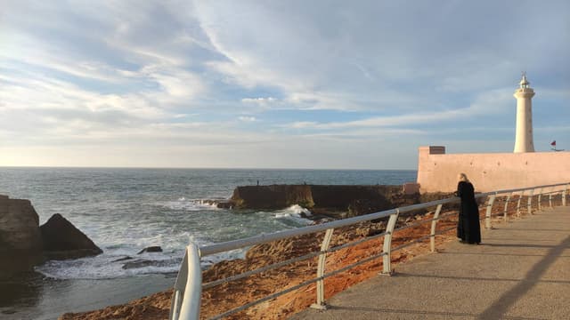 Photo 2 by Juraj P. (5/19/23)