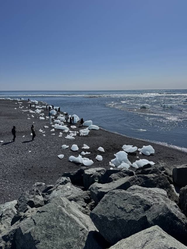 Photo 6 by Matthew W. (5/21/25)