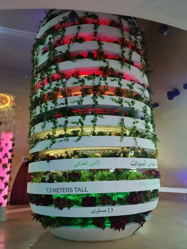 Photo 5 by Lamya T. (2/23/24)