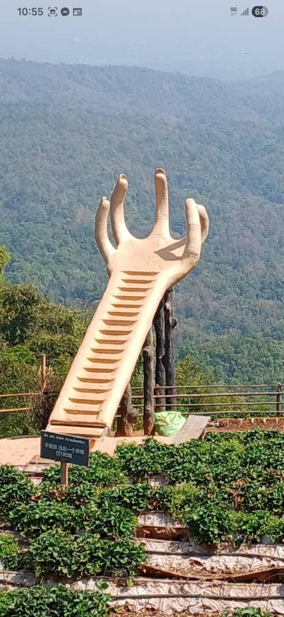 Photo 10 by steven M. (3/22/26)