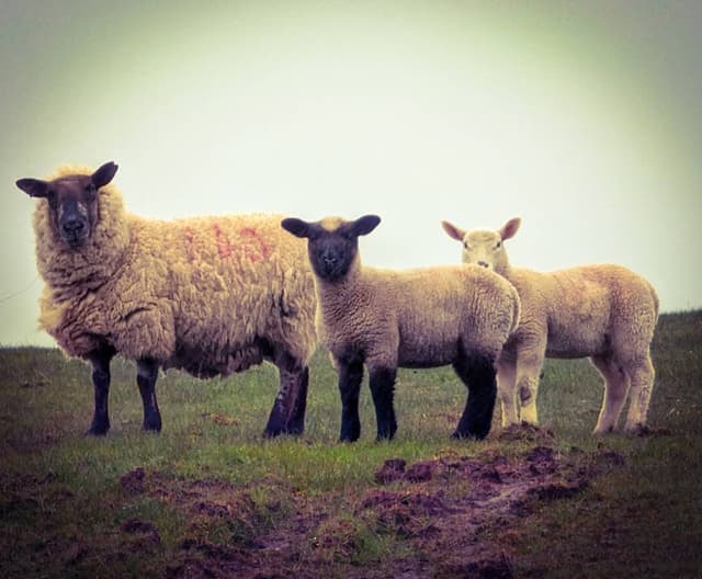 Photo 4 by Lesli Q. (8/7/24)