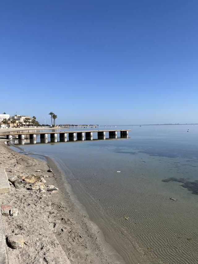 Photo 4 by Wayne F. (2/9/24)