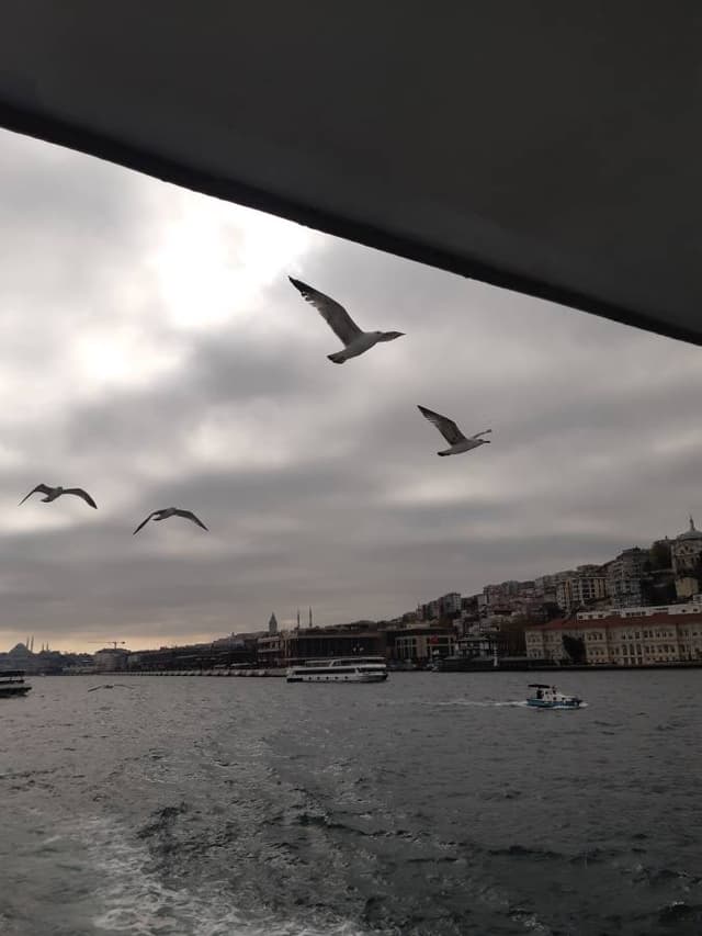 Photo 3 by Richard V. (4/21/25)