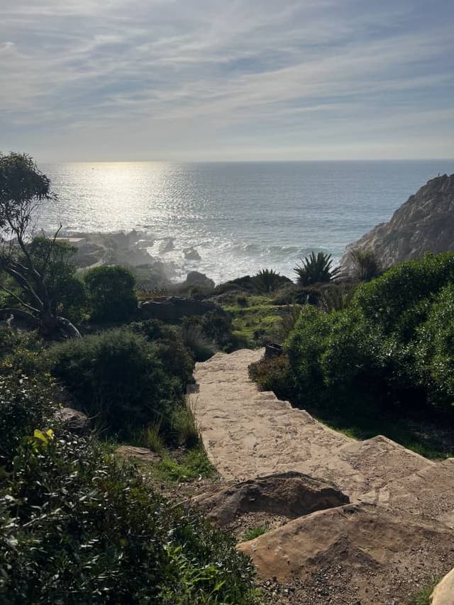 Photo 2 by Waleed A. (3/16/23)